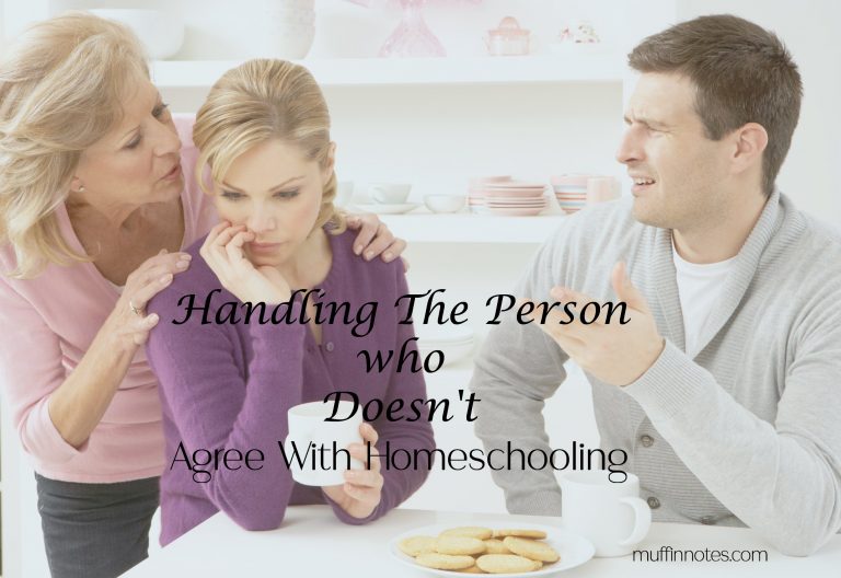 Handling The Person Who Doesn’t Agree With Homeschooling